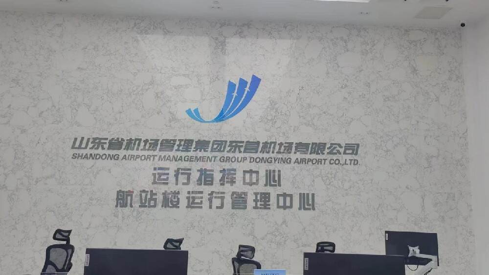 东营胜利机场提升改造工程民航专业工程—站坪安防工程-视频监控系统